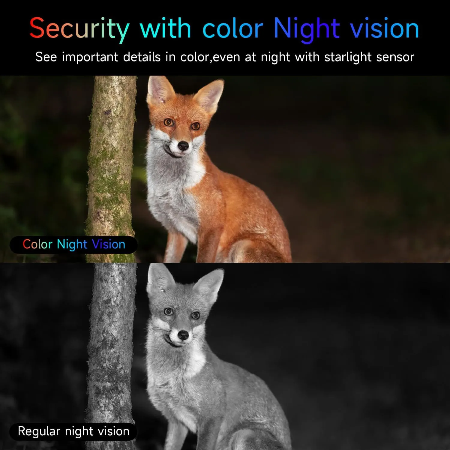 2.4G/5G WiFi Security Cameras Wireless Outdoor, 2K Home Security Camera with AI Motion Detection, Color Night Vision, IP66 Waterproof, 2-Way Audio, Siren, SD/Cloud, Works w/Alexa&Google Assistant