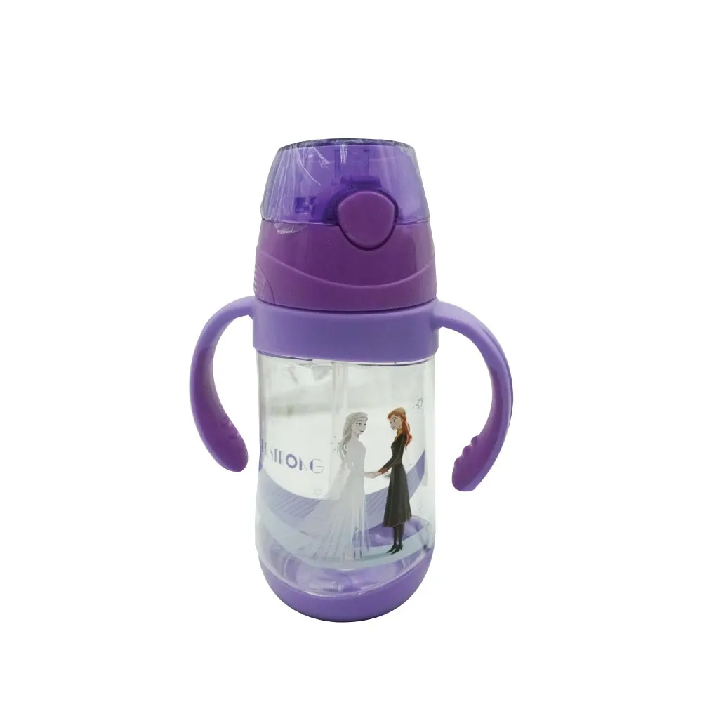 Disney Frozen Water Bottle (450ml)