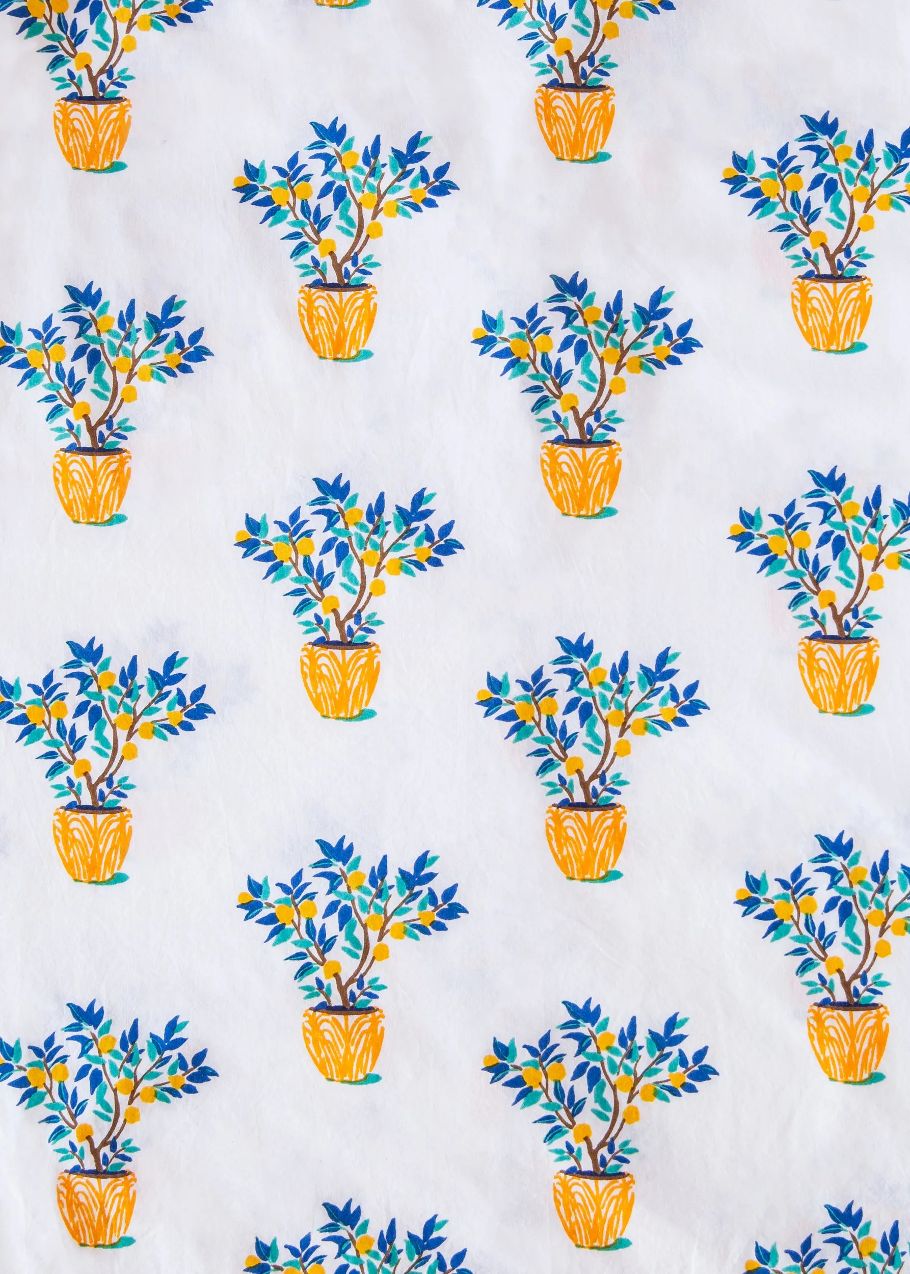 Lemon Tree - Long Sleep Set - Cloud
