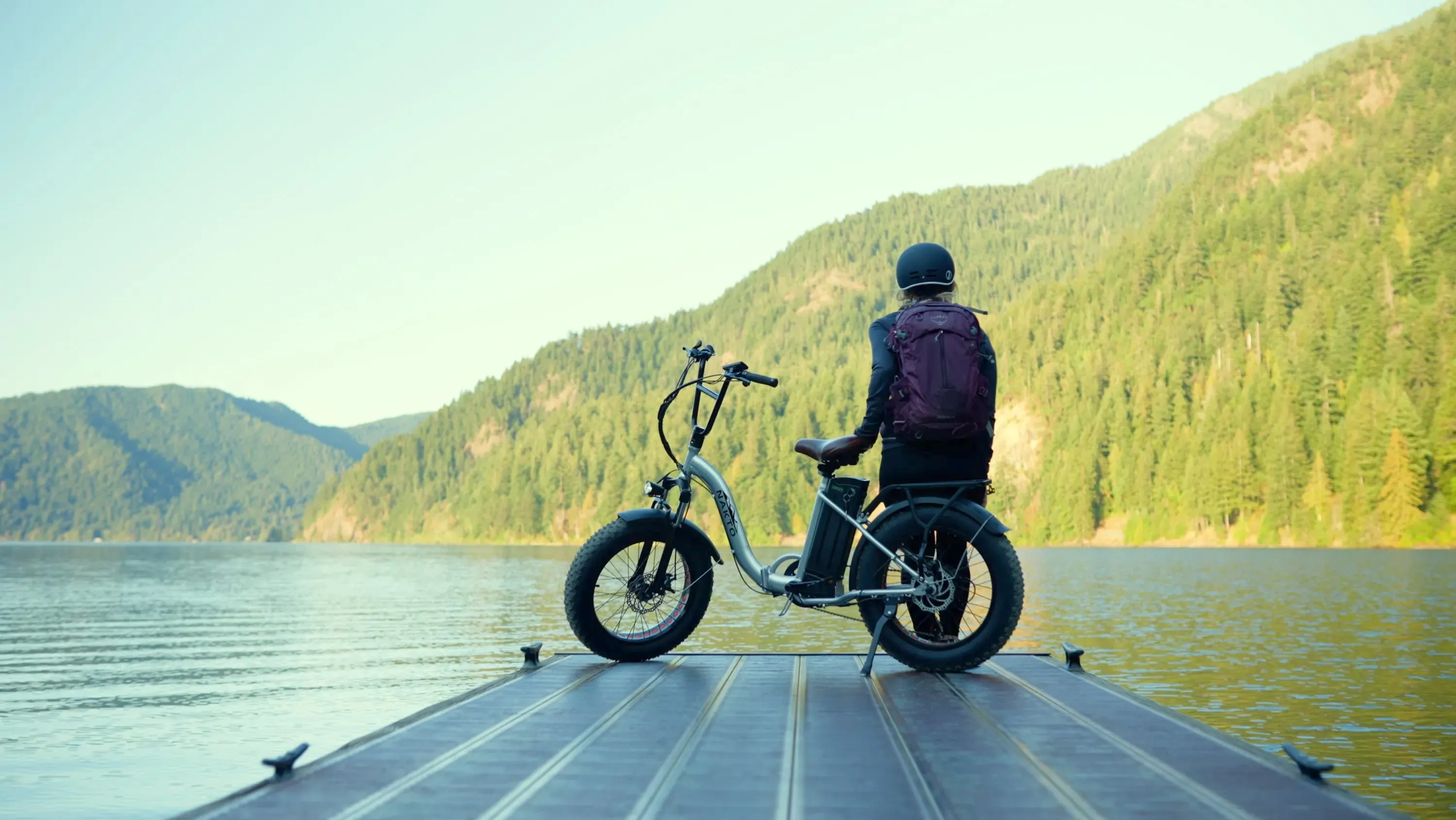 Nakto 500W/750W 48V F4 Low Step Cargo Electric Bike