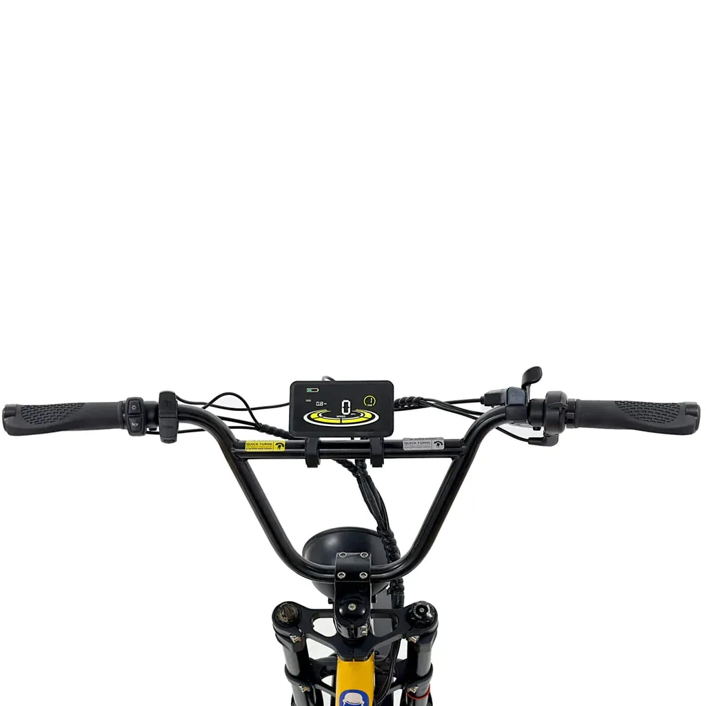 Nakto 500W/750W 48V F4 Low Step Cargo Electric Bike