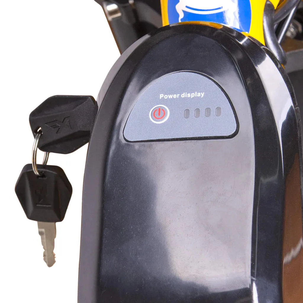 Nakto 500W/750W 48V F4 Low Step Cargo Electric Bike