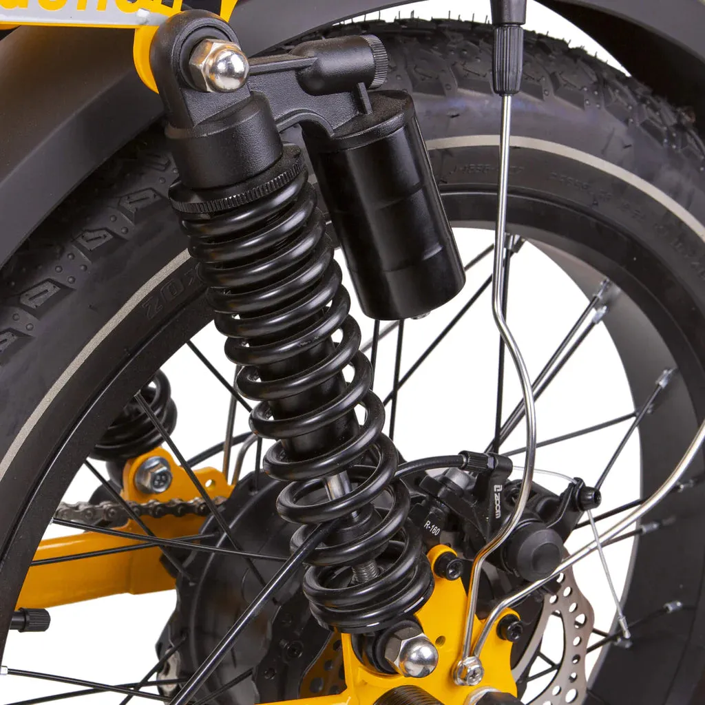 Nakto 500W/750W 48V F4 Low Step Cargo Electric Bike