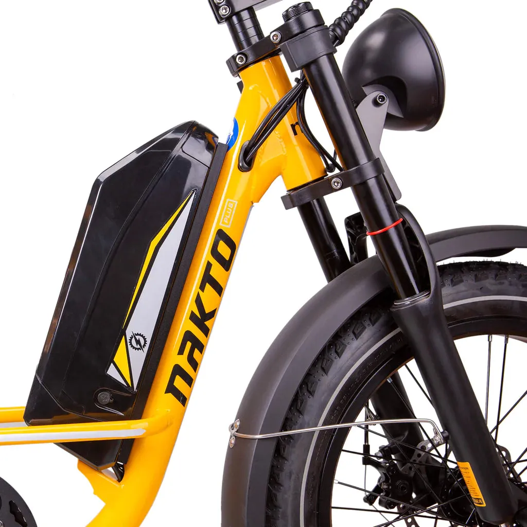 Nakto 500W/750W 48V F4 Low Step Cargo Electric Bike