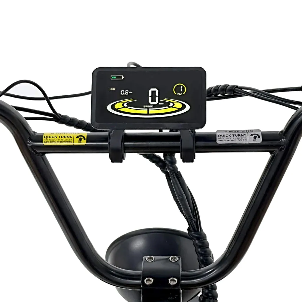 Nakto 500W/750W 48V F4 Low Step Cargo Electric Bike