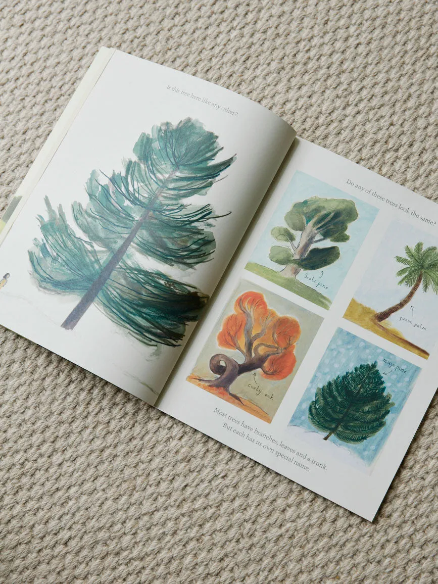 What Do You See When You Look at a Tree?